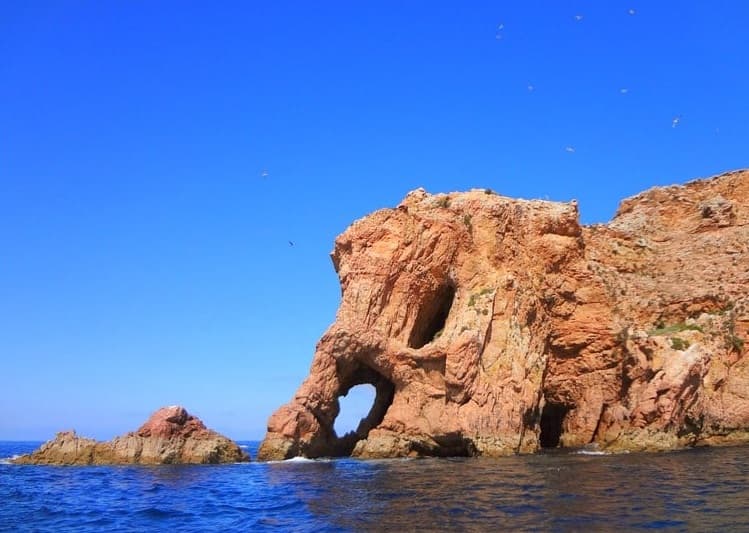 Round trip to Peniche, Berlengas - Ferry tickets not included — photo 3